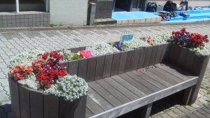 花に囲まれるベンチ
